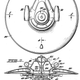 Illustration for article titled Real-Life Flying Saucers Prove That the Truth Is Right Here